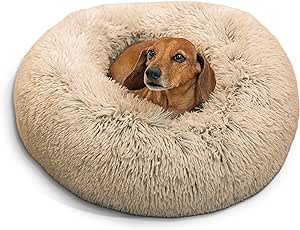 best dog beds 2023