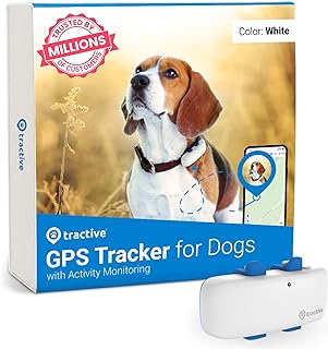 best dog tracker uk